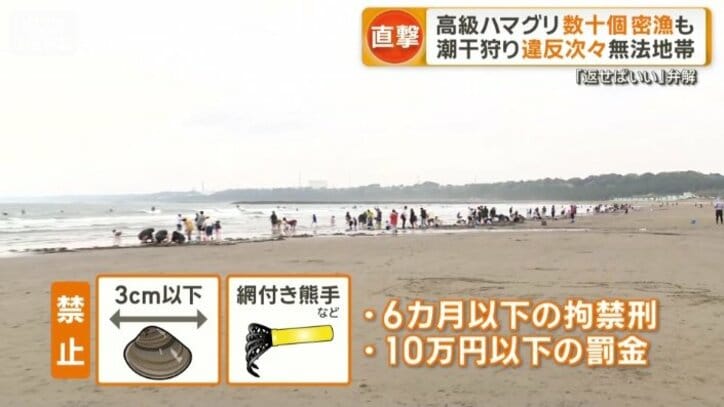 ビーチでは厳格なルールも