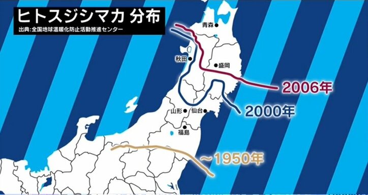 ヒアリだけではない!クモ・蚊にも注意 温暖化で高まる“外来昆虫”のリスク