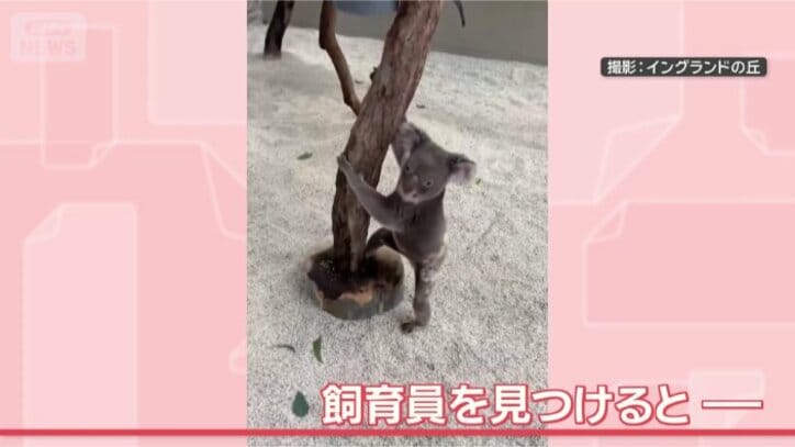 いま行きますよー