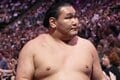 豊昇龍が高安に見せた“優しい”笑顔 取組直後にカメラが捉えた印象的だった一コマ 大相撲パリ公演