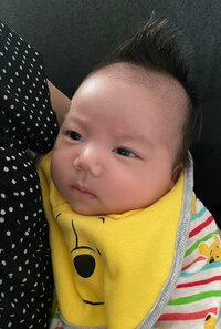 だいたひかる『人生で一番楽しかった事』