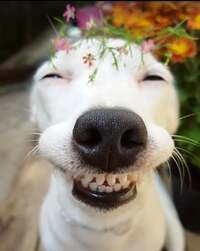 小川菜摘『33回目』