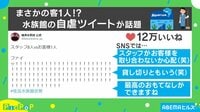 客1人だけ来場で水族館が自虐ツイート
