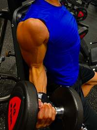 杉浦太陽『朝トレ』