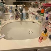 川島菜月『さらに捨てる』