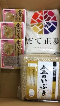 狩野英孝　映画学校時代の苛酷な授業を明かす「あの授業は、なんだったんだろう」