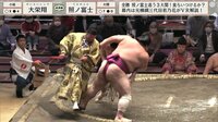 【映像】行司、危機一髪