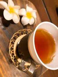 堀ちえみ『今日もリンパマッサージ』