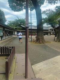 尾形あい『次から次へと壊れる家電』