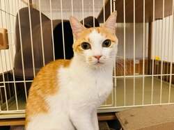  坂上忍、近所の人からの頂き物を堪能した夕食「羨ましい」「有難いですね」の声 