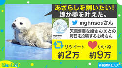 「アザラシが飼いたい」夢を叶えた？ 8歳娘のゆる～い工作にほっこり