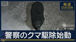 “クマ駆除チーム”が活動開始　警察がライフルでクマ駆除可能に