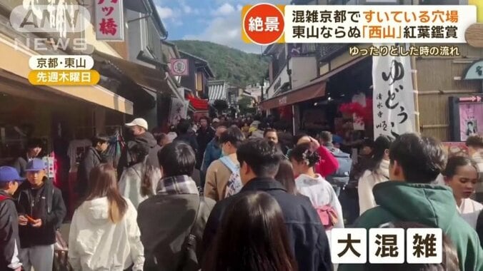 京都の人気観光地は大混雑