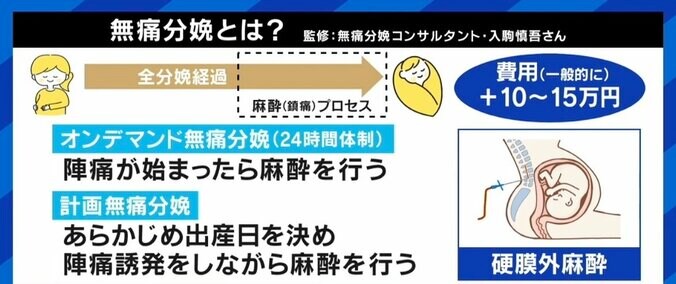 「無痛分娩は甘え」根強い偏見に苦しむ人も…実母や夫からの反対に「希望すること自体が母親失格なのでは、と」 6枚目