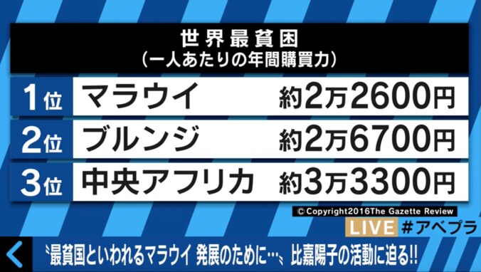 「1週間でゴキブリ700匹退治」世界最貧国・マラウイで活躍する日本人女性 2枚目