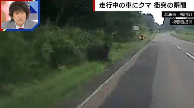 走行中の車にクマが突っ込む“恐怖の瞬間” バンパーには牙の跡が…乗車男性「生身だったらやばかった」 3枚目