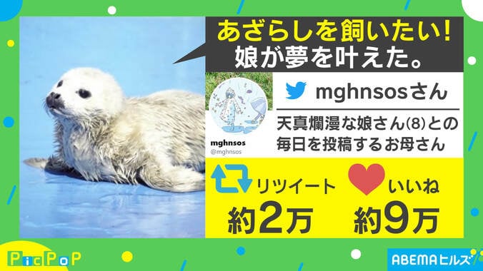 「アザラシが飼いたい」夢を叶えた？ 8歳娘のゆる～い工作にほっこり 1枚目