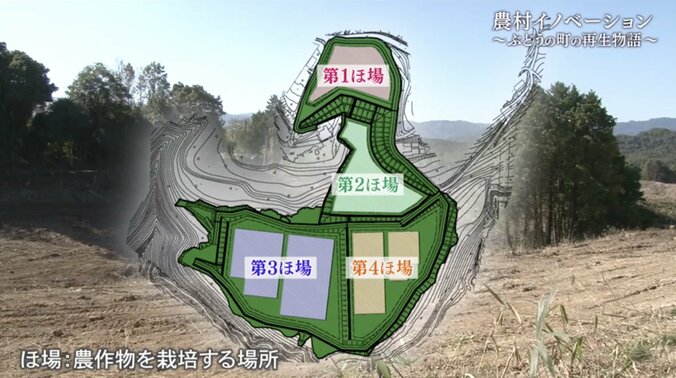 世界に名を馳せる“ぶどうの町”にするために…農家になる運命を背負った男性が、人生をかけて挑む“地域再生” 11枚目