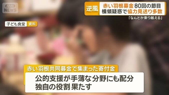 公的支援が手薄な分野にも配分