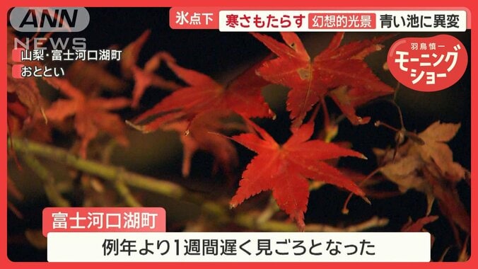 気温7℃の芦ノ湖…外国人観光客10人が寒すぎて“船上ダンス”　半そでになる人も 1枚目