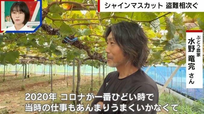 ぶどう農家の水野竜完さん