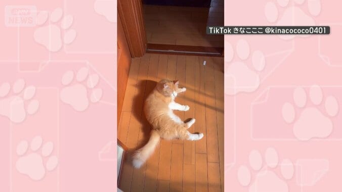 別の日も！