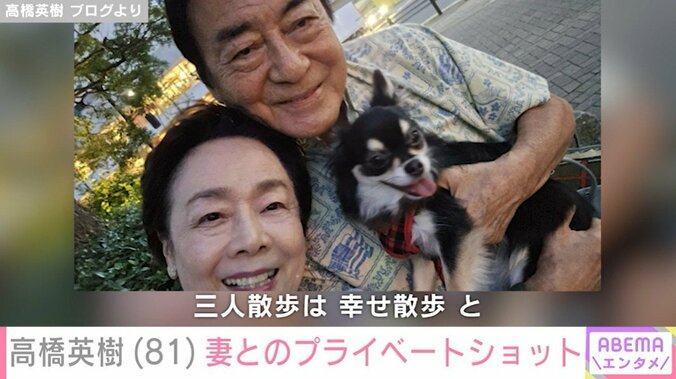 「夫婦と1匹の三人散歩」