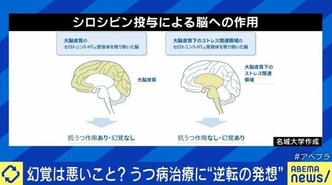 「いい幻覚で自分の考え方を変えるような何かがあるかも」豪政府が