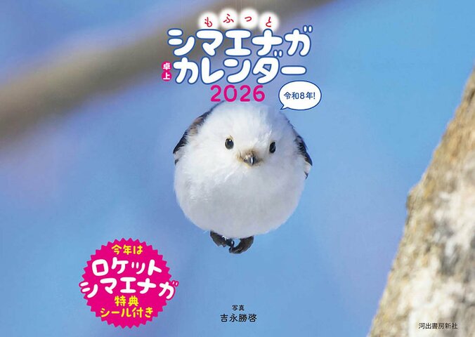 もふっとシマエナガ　卓上カレンダー2026