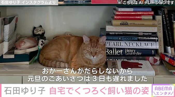 【写真・画像】石田ゆり子(56) 生活感あふれる自宅でくつろぐ飼い猫の姿を公開「石田さんちのインテリアはどれを見ても美しい」　2枚目
