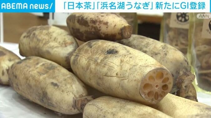 加賀れんこん