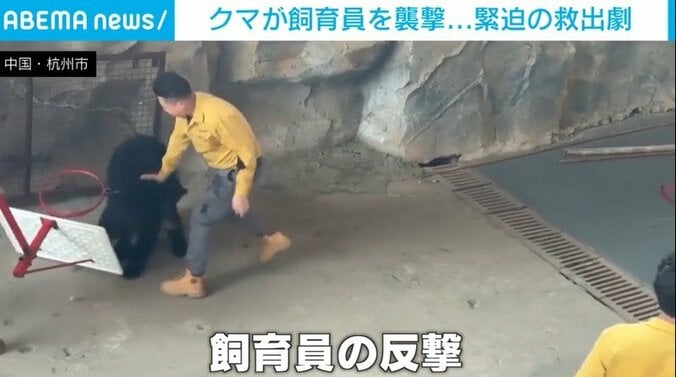 反撃する飼育員