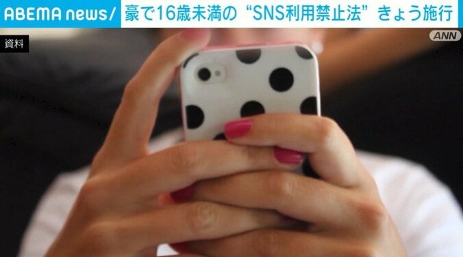 スマートフォンを利用する様子