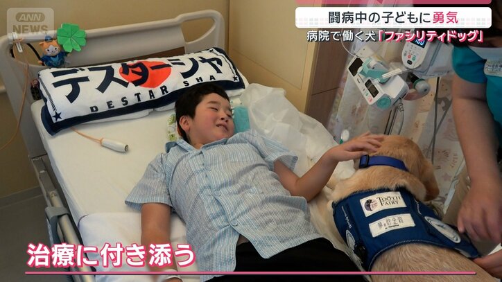 治療に寄り添う
