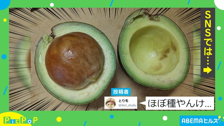 「ほぼ種やんけ…」半分に切ったアボカドが破壊力抜群 「おもろすぎ」「買う時は博打」反響多数