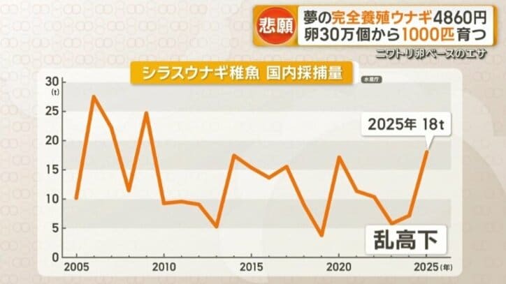 年によって価格が乱高下