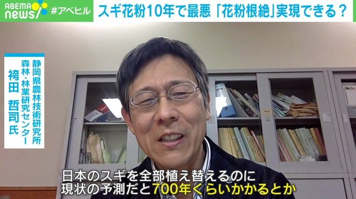 スギ花粉“最大レベル”の飛散量 「無花粉」開発で患者の救いとなるか