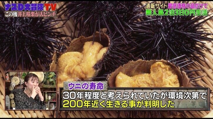 井上咲楽、無人島で高級食材に遭遇！ ウニの寿命“200歳説”でバイきんぐ論争ぼっ発？