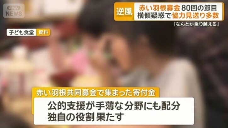公的支援が手薄な分野にも配分
