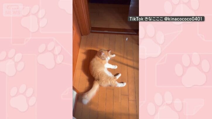 別の日も！