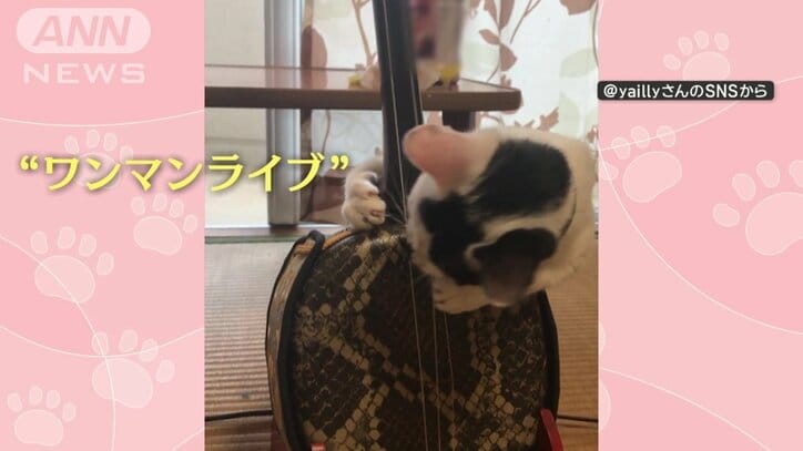 ワンマンライブ!