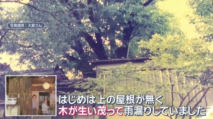 昔は木が生い茂っていた