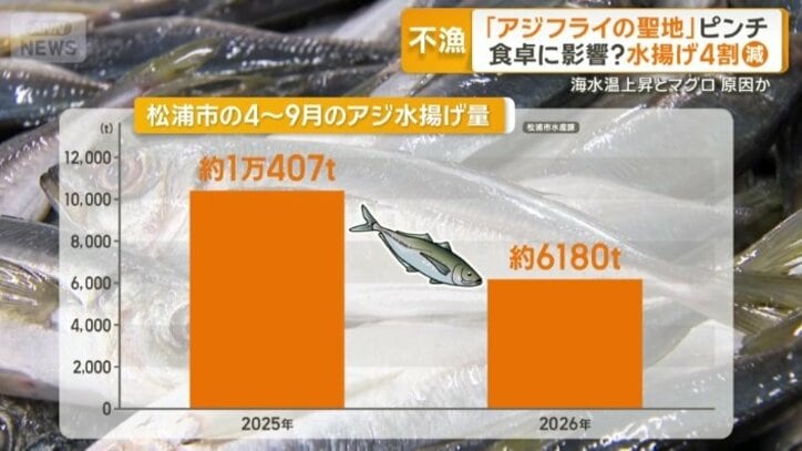 アジの水揚げが大きく減少