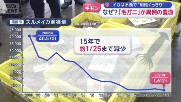 函館のスルメイカの漁獲量