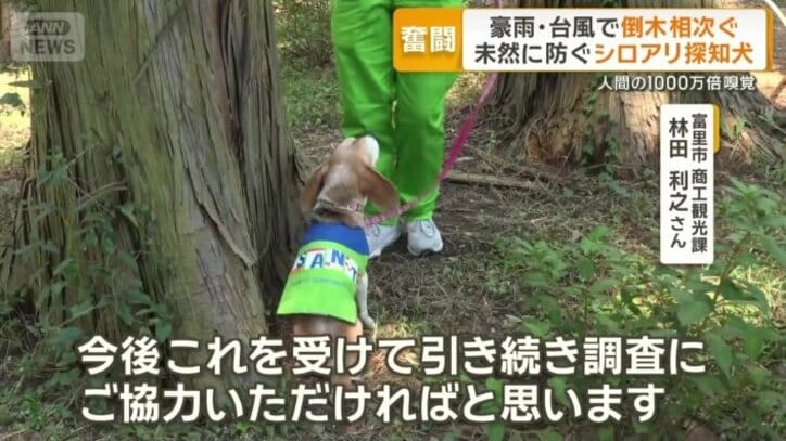 「なかなか目視では分からない」