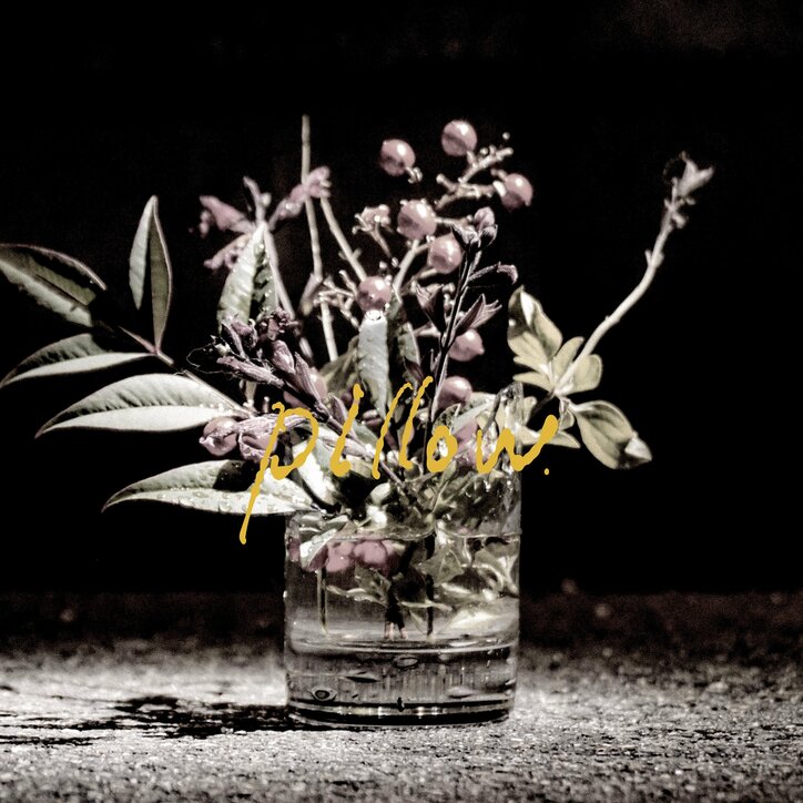 【写真・画像】　1枚目