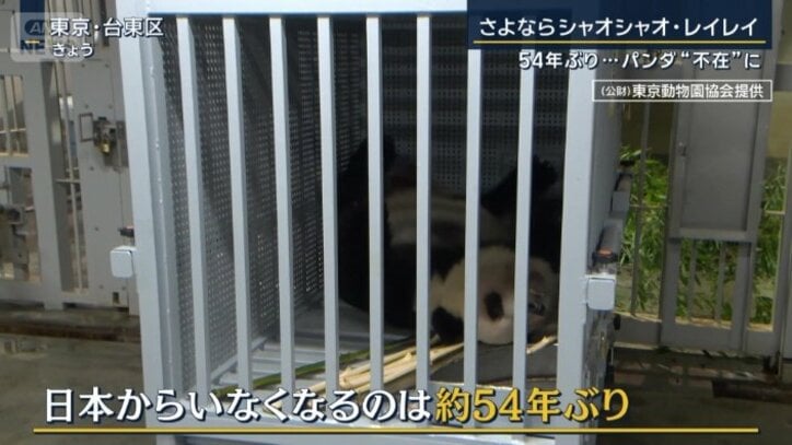 日本からいなくなるのは約54年ぶり