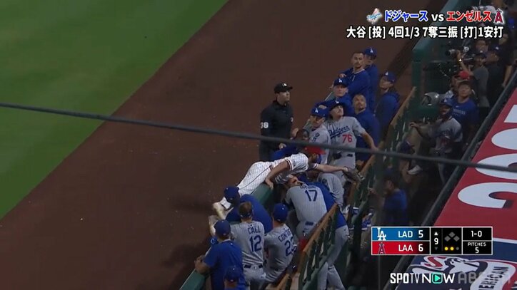 【写真・画像】　2枚目