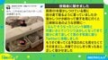 「これははじめてのパターン」箱入り?な3姉妹の寝相に反響 「まるでネコ」「発見の天才」