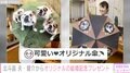 北斗晶、夫・佐々木健介から貰ったプレゼント公開「可愛い、オリジナル傘」